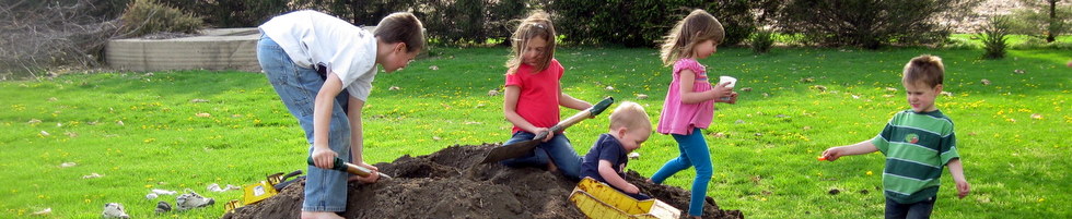 Dirt Pile